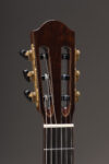 Cocobolo Classical Model Peghead Front
