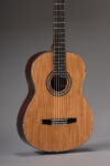 Cocobolo Classical Model Back Closeup