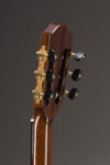 Cocobolo Classical Model Peghead