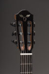 East Indian rosewood Crossover Model Peghead Front