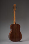 East Indian rosewood Crossover Model Full Back